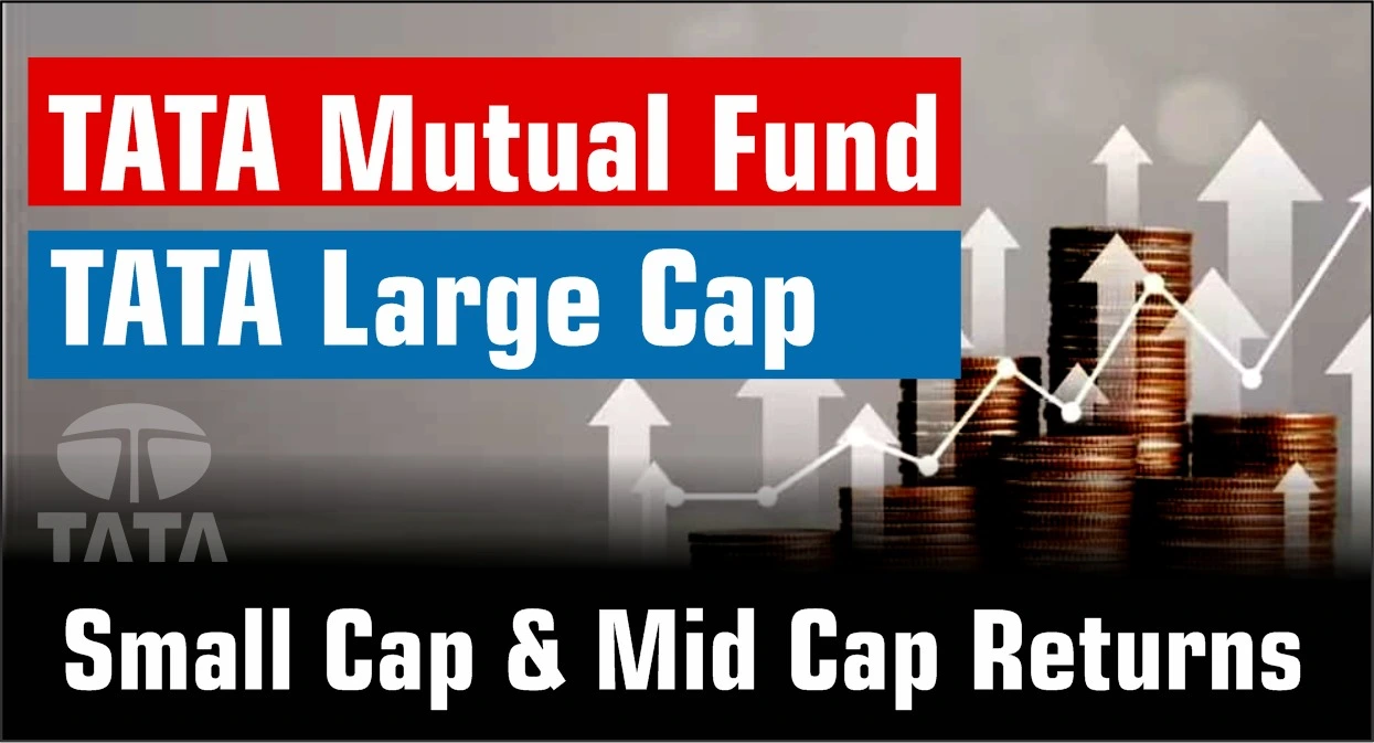 Tata Mutual Fund: Tata Large Cap, Small Cap & Mid Cap Returns 